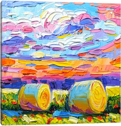 The Bales And The Clouds Canvas Art Print - Vanya Georgieva