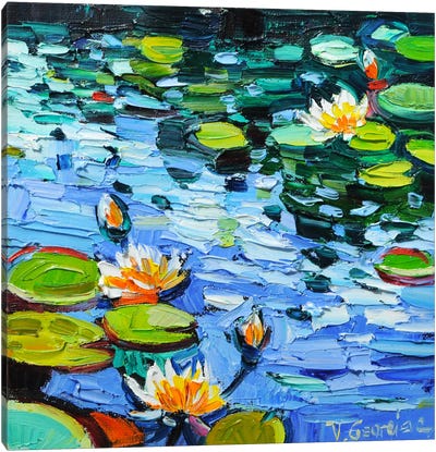 Water Lillies Canvas Art Print - Vanya Georgieva