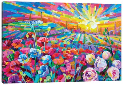 Poppy Field In Tuscany Canvas Art Print - Vanya Georgieva