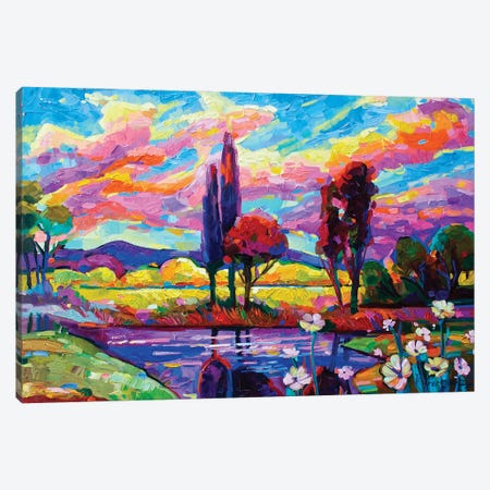 Rainbow Colors Landscape Canvas Print #VNY24} by Vanya Georgieva Canvas Wall Art