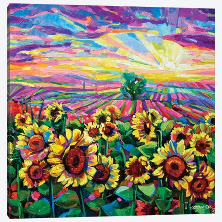Sunflowers At Sunset Canvas Print #VNY27} by Vanya Georgieva Canvas Art