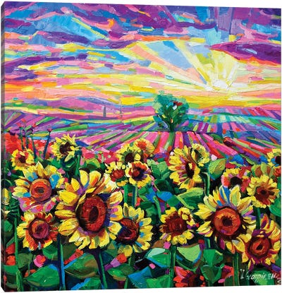 Sunflowers At Sunset Canvas Art Print - Sunflower Art