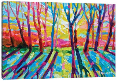 The Light Penetrates Canvas Art Print - Enchanted Forests
