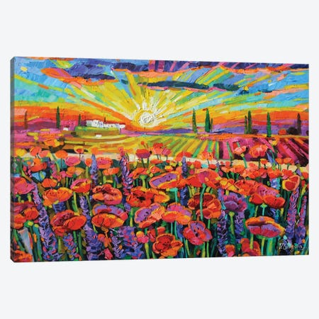 Poppies Field In Tuscany Canvas Print #VNY44} by Vanya Georgieva Canvas Wall Art