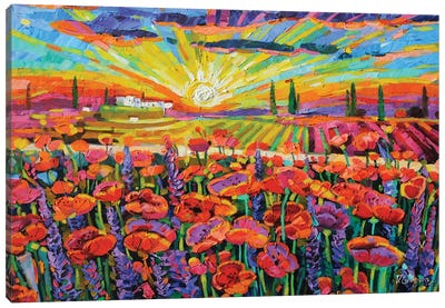 Poppies Field In Tuscany Canvas Art Print - Vanya Georgieva