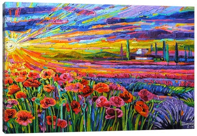 Spring Rhapsody Canvas Art Print - Poppy Art