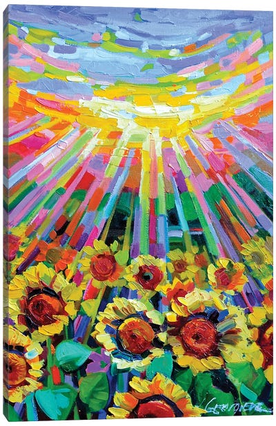The Fun-Shaped Light Canvas Art Print - Sun Art