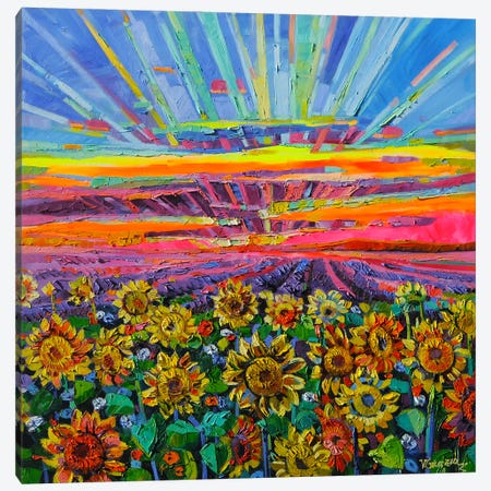 When The Sunflowers Meet The Light Canvas Print #VNY52} by Vanya Georgieva Canvas Artwork