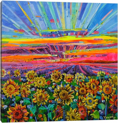 When The Sunflowers Meet The Light Canvas Art Print - Countryside Art