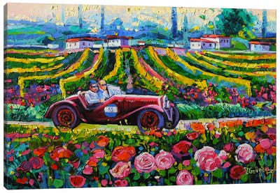 Mille Miglia . Roses In Tuscany Canvas Art Print - Countryside Art
