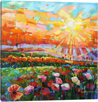 Poppies Field VIII Canvas Art Print - Countryside Art