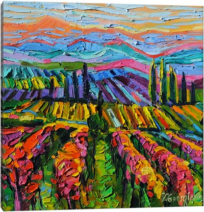 Soma Vineyards Canvas Art Print - Tuscany Art
