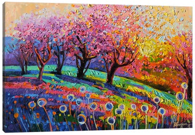 Cherry Trees Under The Warm Light Canvas Art Print - Cherry Blossom Art