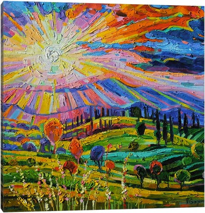 Dazzling Sun In Tuscany Canvas Art Print - Field, Grassland & Meadow Art