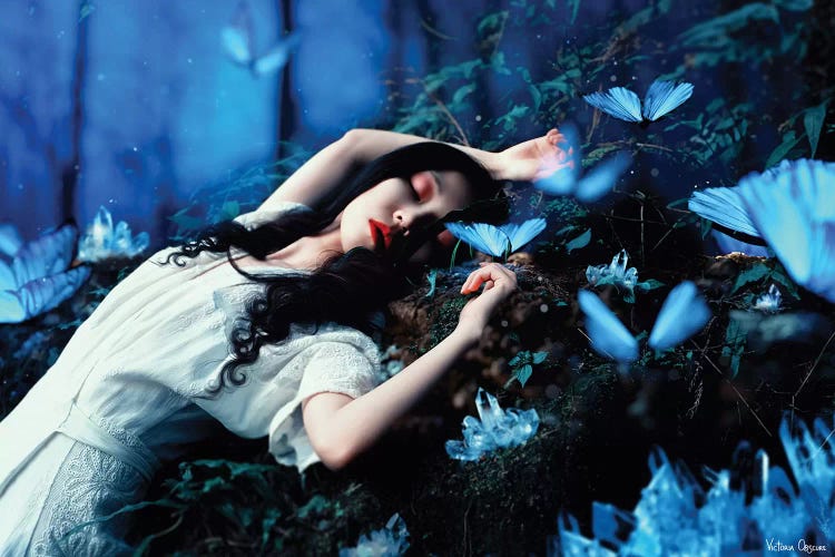 Sleeping Beauty by Victoria Obscure wall art