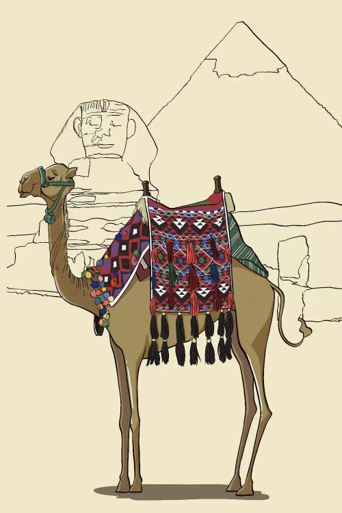 Egypt - Camel