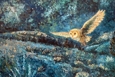 All Blues - Canvas Prints: Barn Owl Flight by Viola Painting
