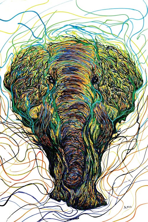 The Elephant