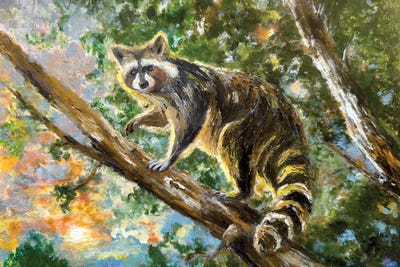 Viola Painting - Multi Panel Prints: Treetop Raccoon by Viola Painting
