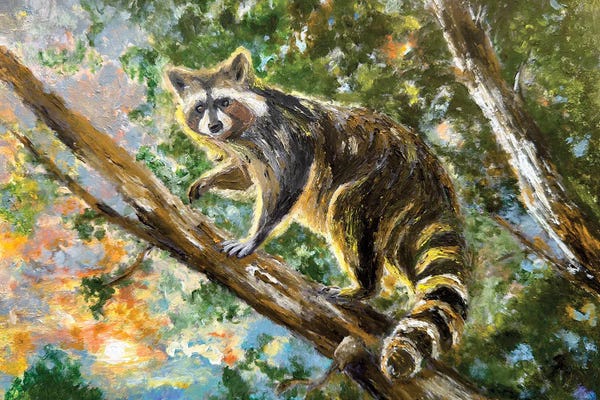 Viola Painting: Treetop Raccoon by Viola Painting