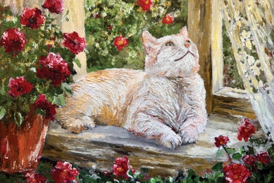 Viola Painting - Multi Panel Prints: Sunlit Cat by Viola Painting