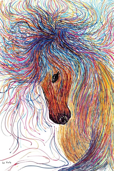 Horse by Viola Painting framed canvas print