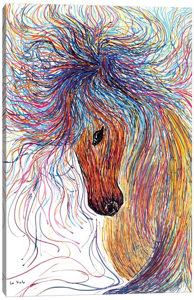 Horse Canvas Art Print - Viola Painting