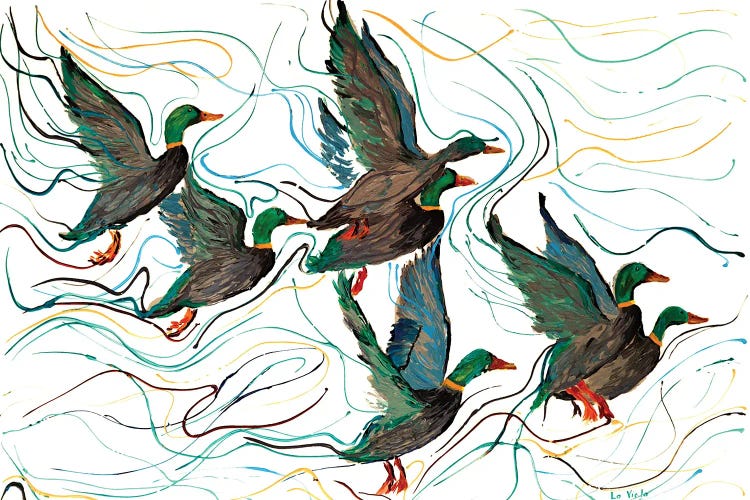 Mallard Ducks