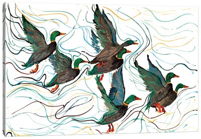 Mallard Ducks Canvas Art Print - Viola Painting