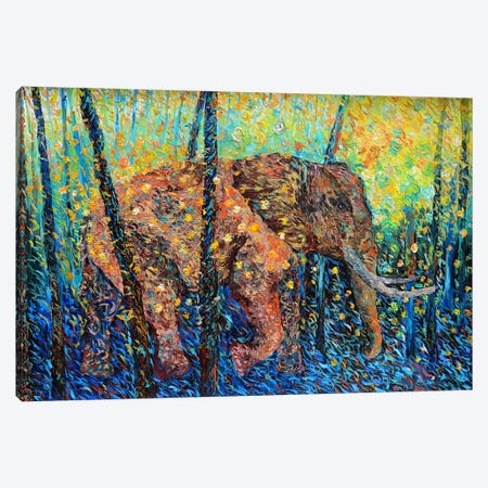 Elephant's Domain Canvas Print #VPA60} by Viola Painting Canvas Art Print