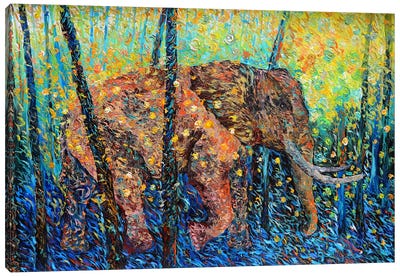 Elephant's Domain Canvas Art Print - Viola Painting