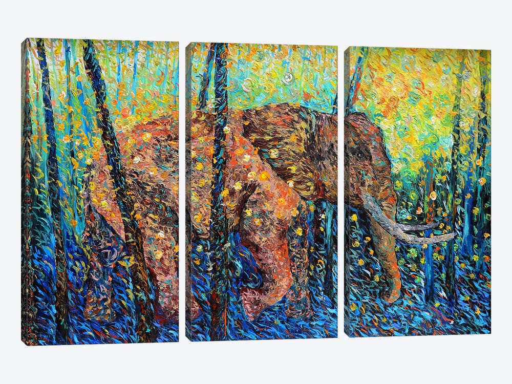 Elephant's Domain by Viola Painting 3-piece Canvas Artwork