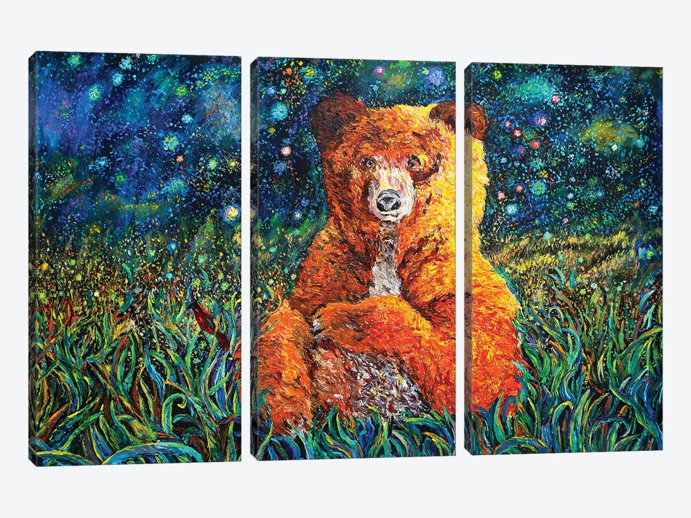 Starry Night Bear by Viola Painting 3-piece Canvas Artwork