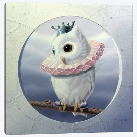 The Banded Little Owl Canvas Print #VQU44} by Valéry Vecu Quitard Art Print