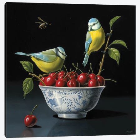 Both Tits And Cherries Canvas Print #VQU7} by Valéry Vecu Quitard Canvas Art