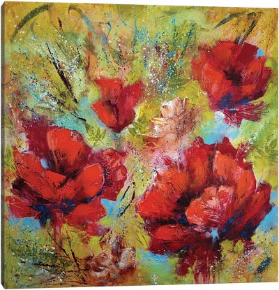 Crimson Dreams Poppies Canvas Art Print - Vera Hoi