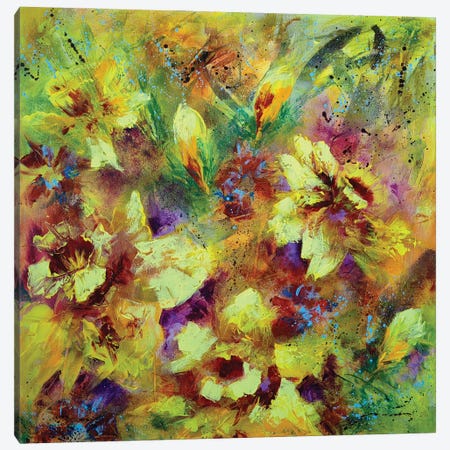 A Dazzling Daffodil Dance Canvas Print #VRA150} by Vera Hoi Canvas Artwork