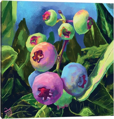 Not So Blueberries Canvas Art Print - Berry Art