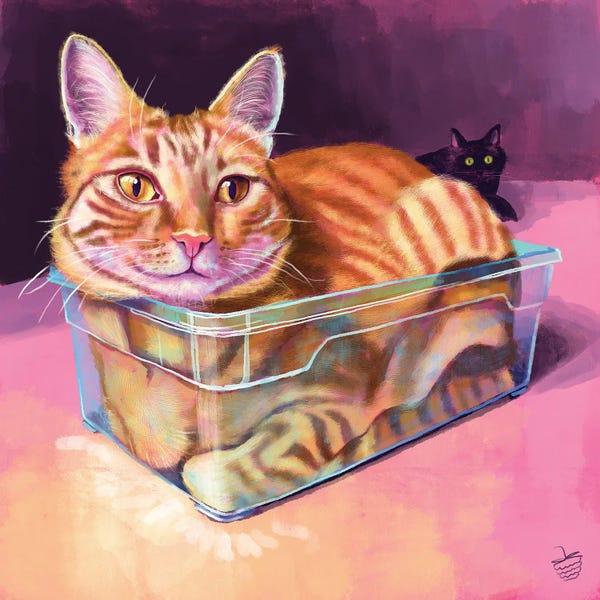 Orange Cats: Liquid Ginger Cat by Very Berry