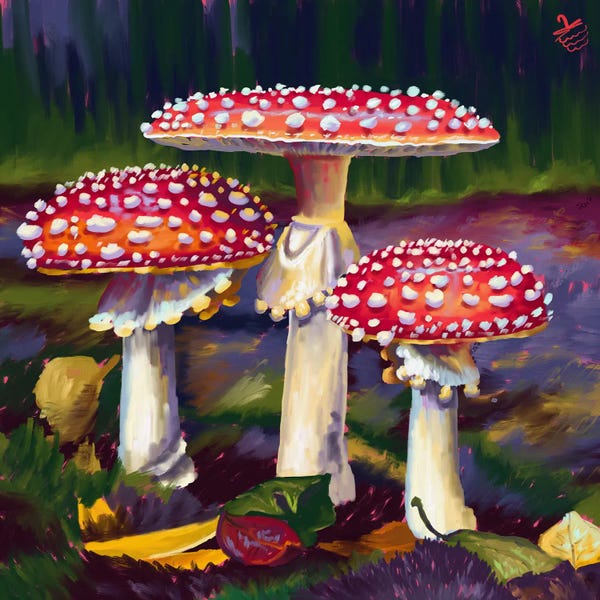 Fly Agaric Mushrooms In The Forest