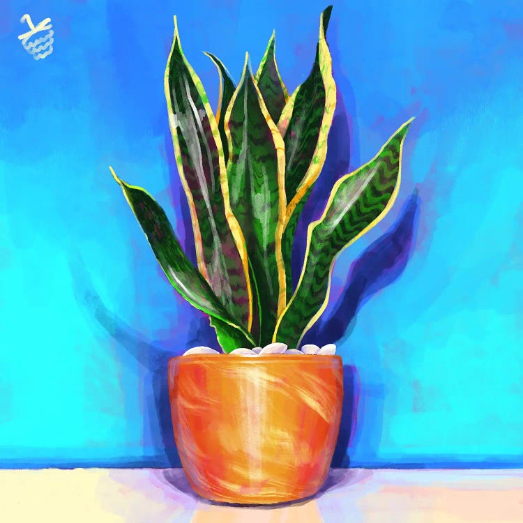 Snake Plant by Very Berry wall art