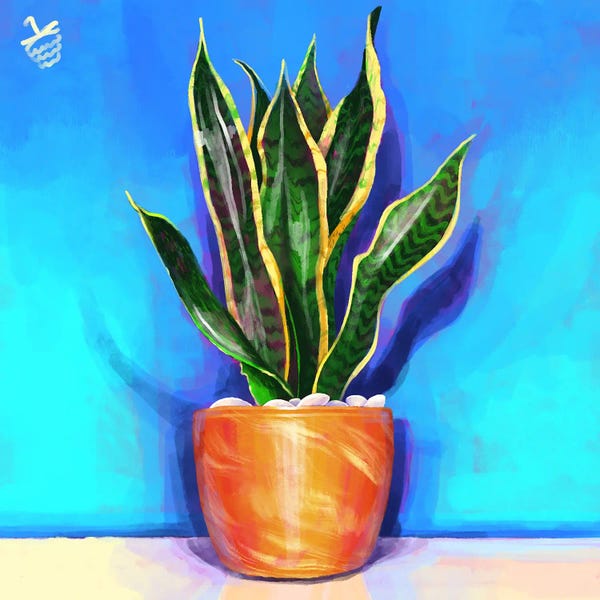 Fine Art Print: Snake Plant by Very Berry