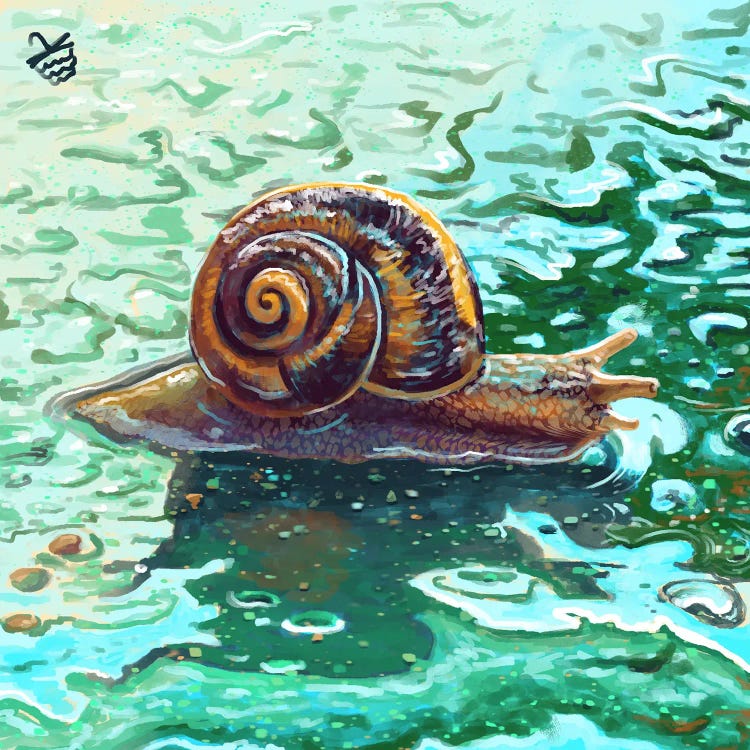 Rainy Snail