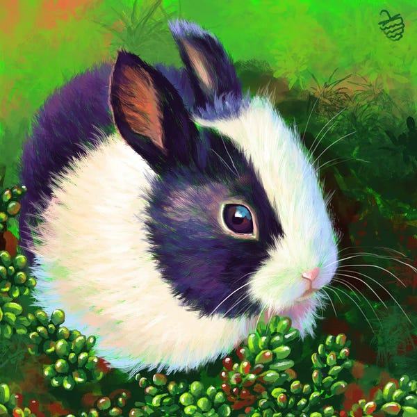 Very Berry: Black And White Bunny by Very Berry