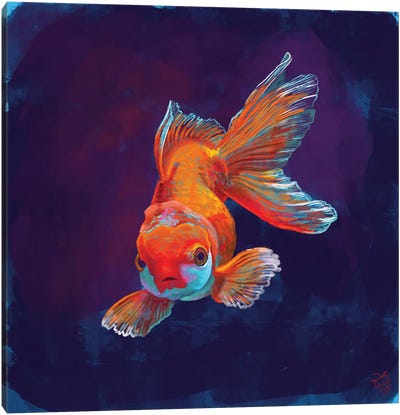 Glowing Gold Fish Canvas Art Print - Very Berry