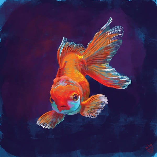 Goldfish: Glowing Gold Fish by Very Berry
