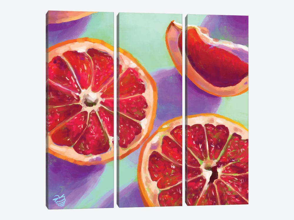 Grapefruits by Very Berry 3-piece Canvas Wall Art