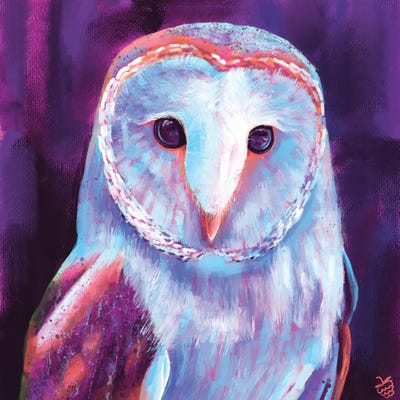 Barn Owl by Very Berry canvas print
