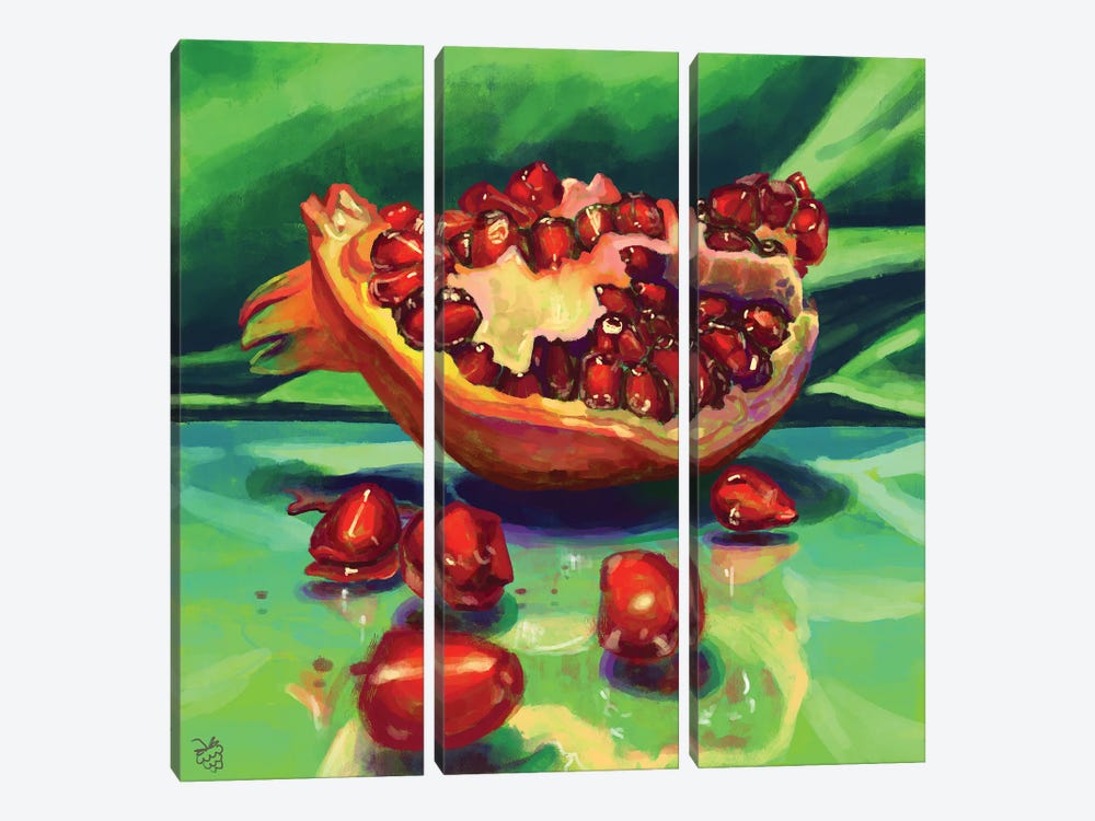 Pomegranate by Very Berry 3-piece Canvas Art