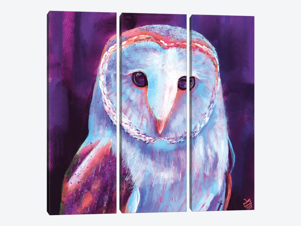 Barn Owl by Very Berry 3-piece Canvas Print